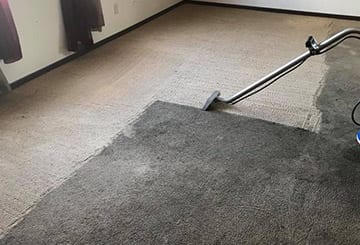 carpet cleaner fairview heights il